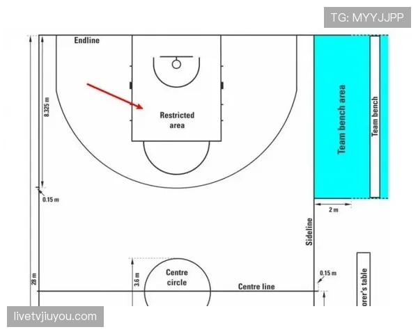 FIBA和NBA规则区别在哪里？深度解析两大联盟主要规则差异
