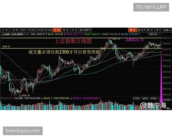 亚马尔天赋兑现预期与实际表现差距分析